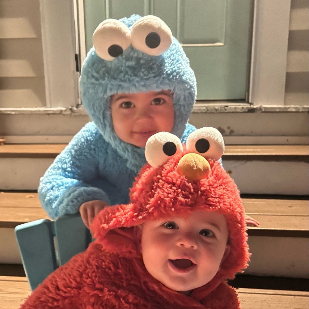 Pottery Barn Kids Cookie Monster Costume - Picture 2 of 3